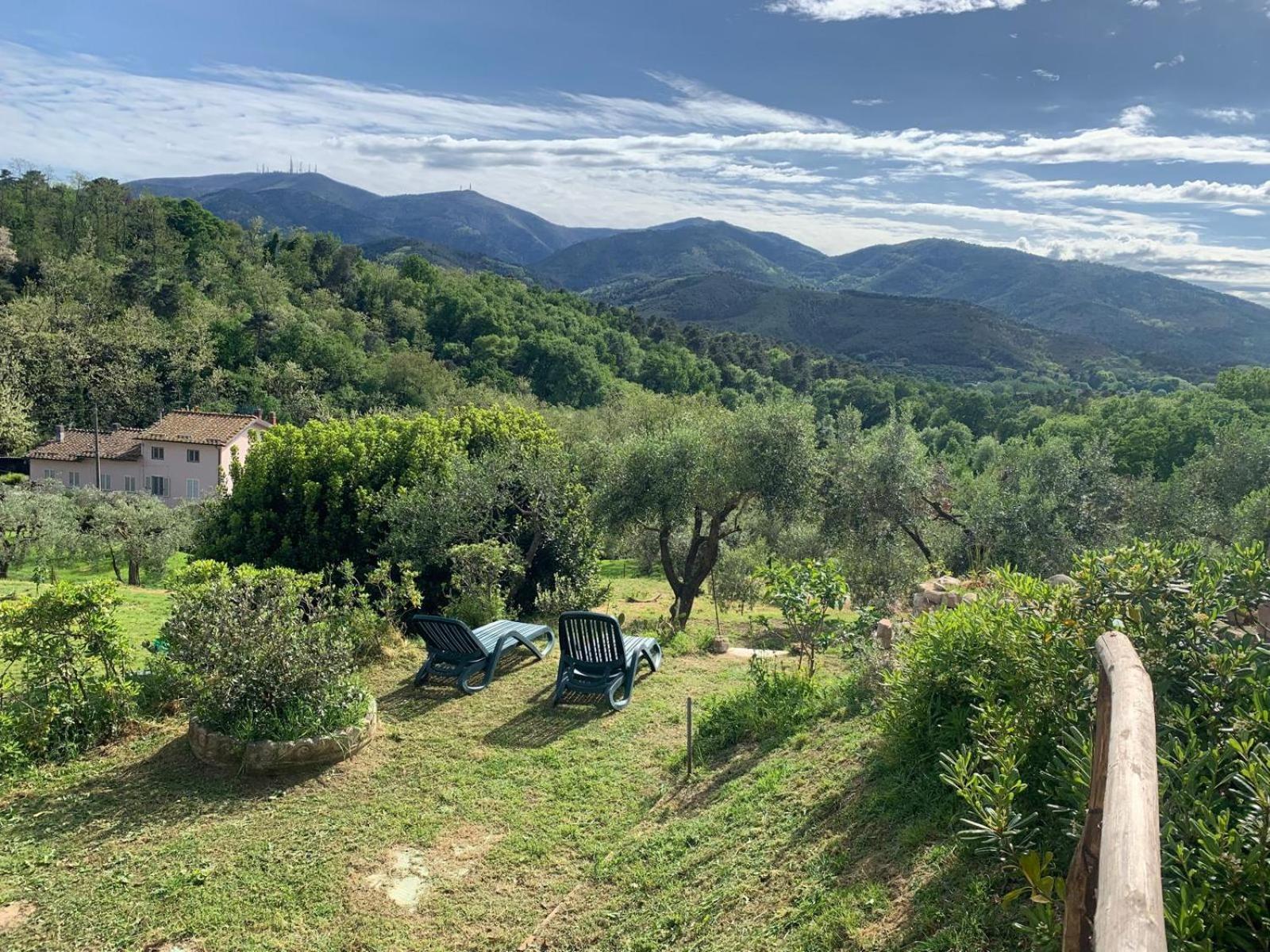 La Capanna Di Arturo Piano Terra Villa Capannori Eksteriør billede