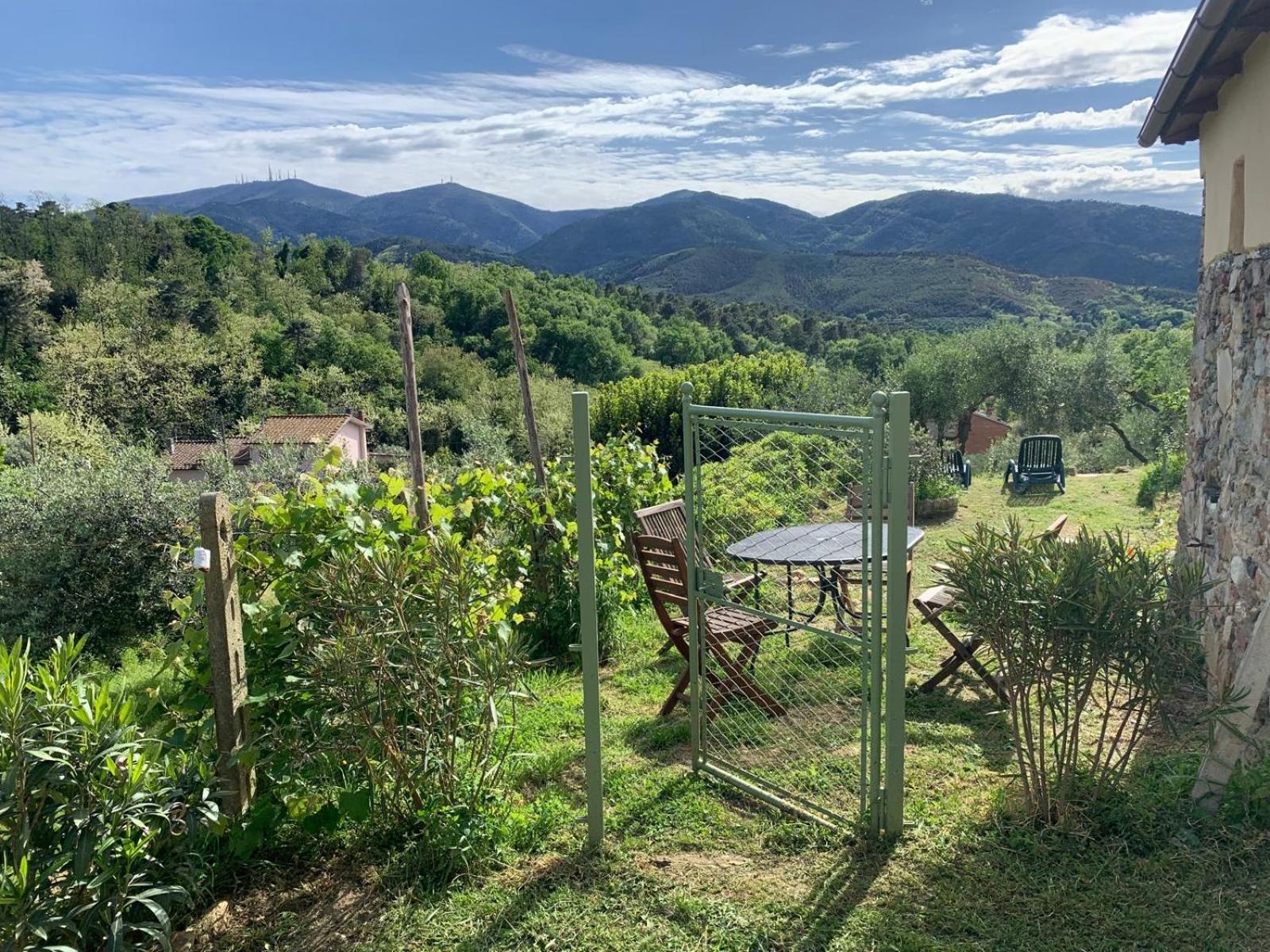 La Capanna Di Arturo Piano Terra Villa Capannori Eksteriør billede